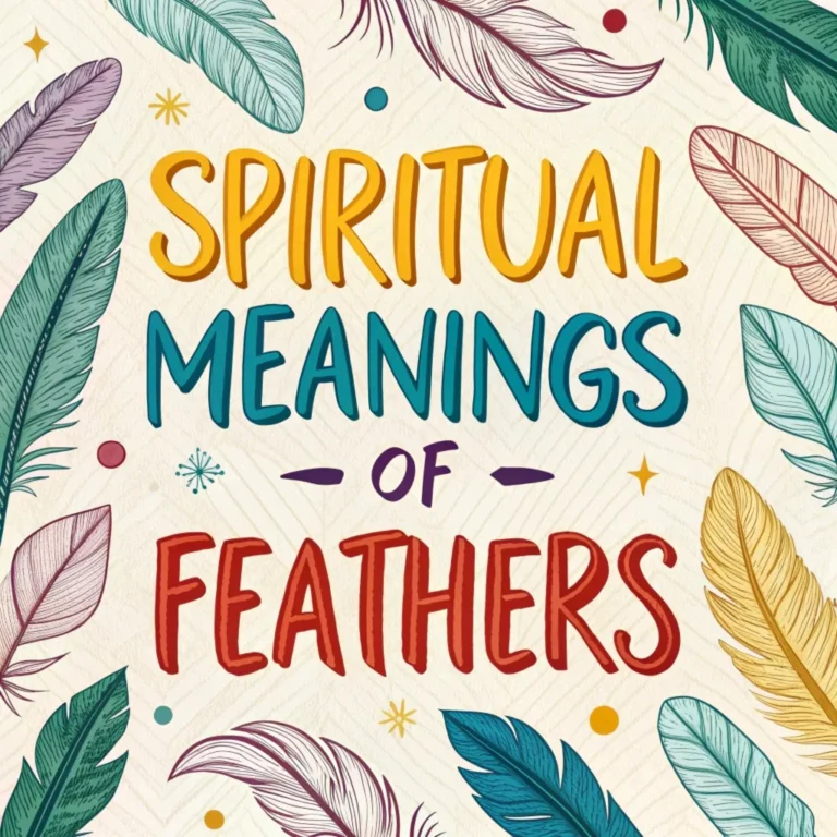 15 Spiritual Meanings of Feathers: Guide to Divine Messages