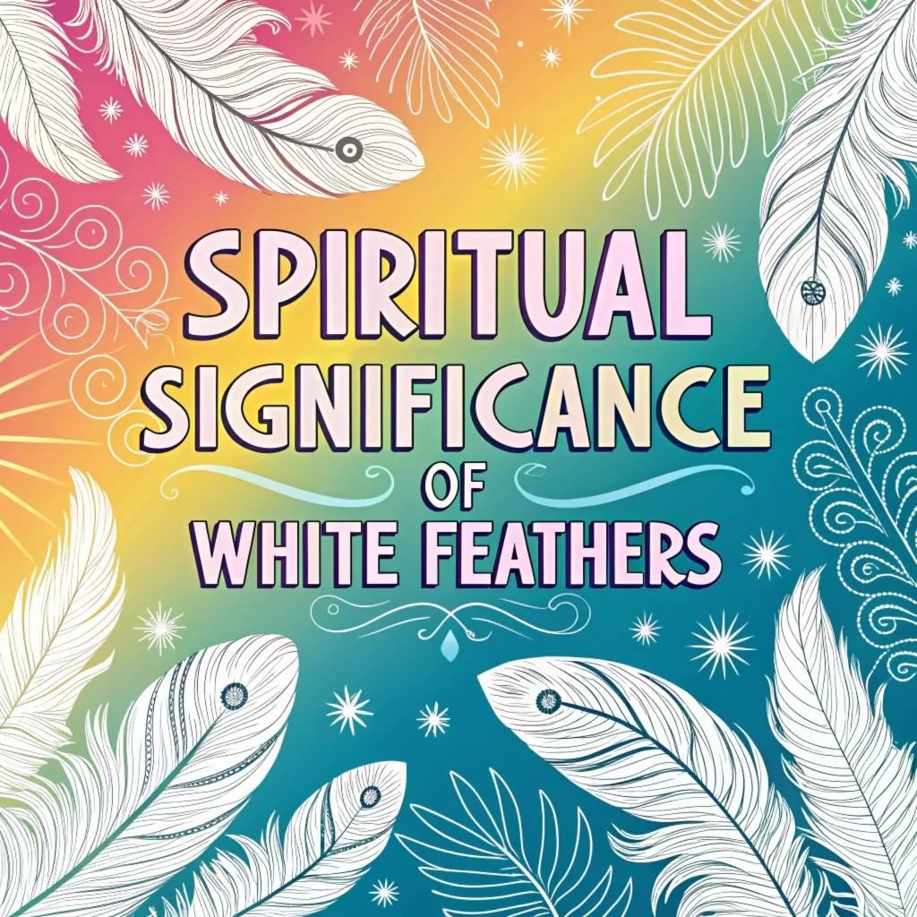 The Spiritual Significance & Symbolism of White Feathers