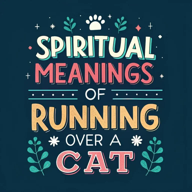 13 Spiritual Meanings of Running Over a Cat Revealed