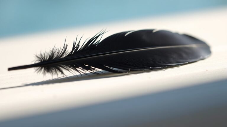 black feather spiritual symbolism