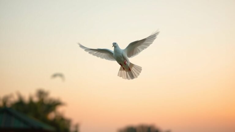 peace love and purity
